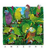 Amazons w/foliage